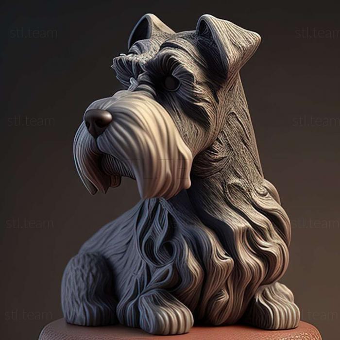 Zwergschnauzer dog